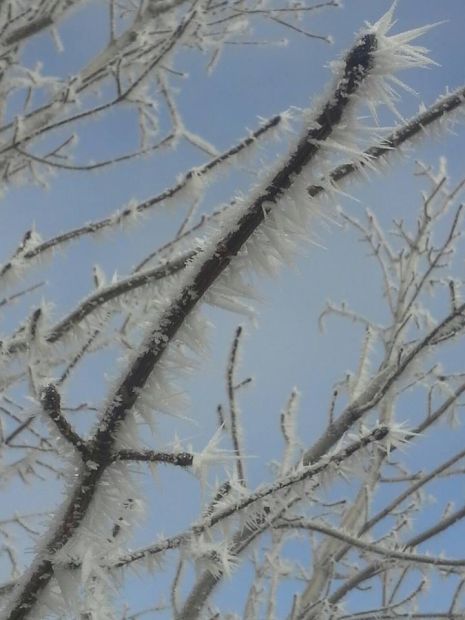 Cold Snap